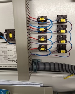 Pulse counter egg collection